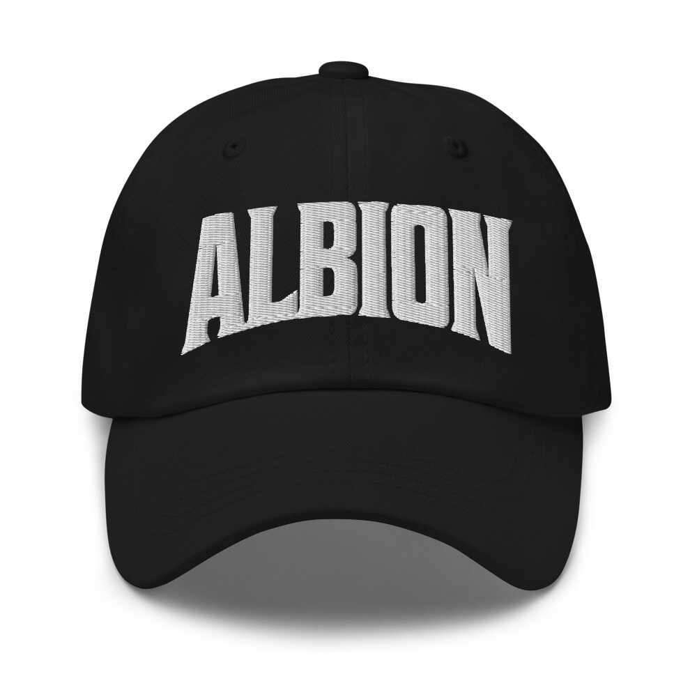 Albion Michigan MI Embroidered Dad Hat