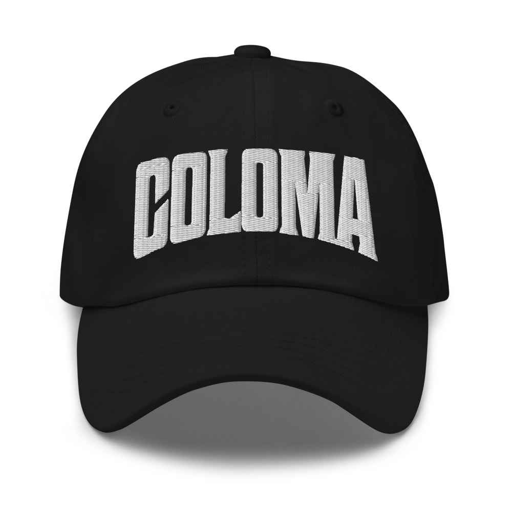 Coloma Michigan MI Embroidered Dad Hat