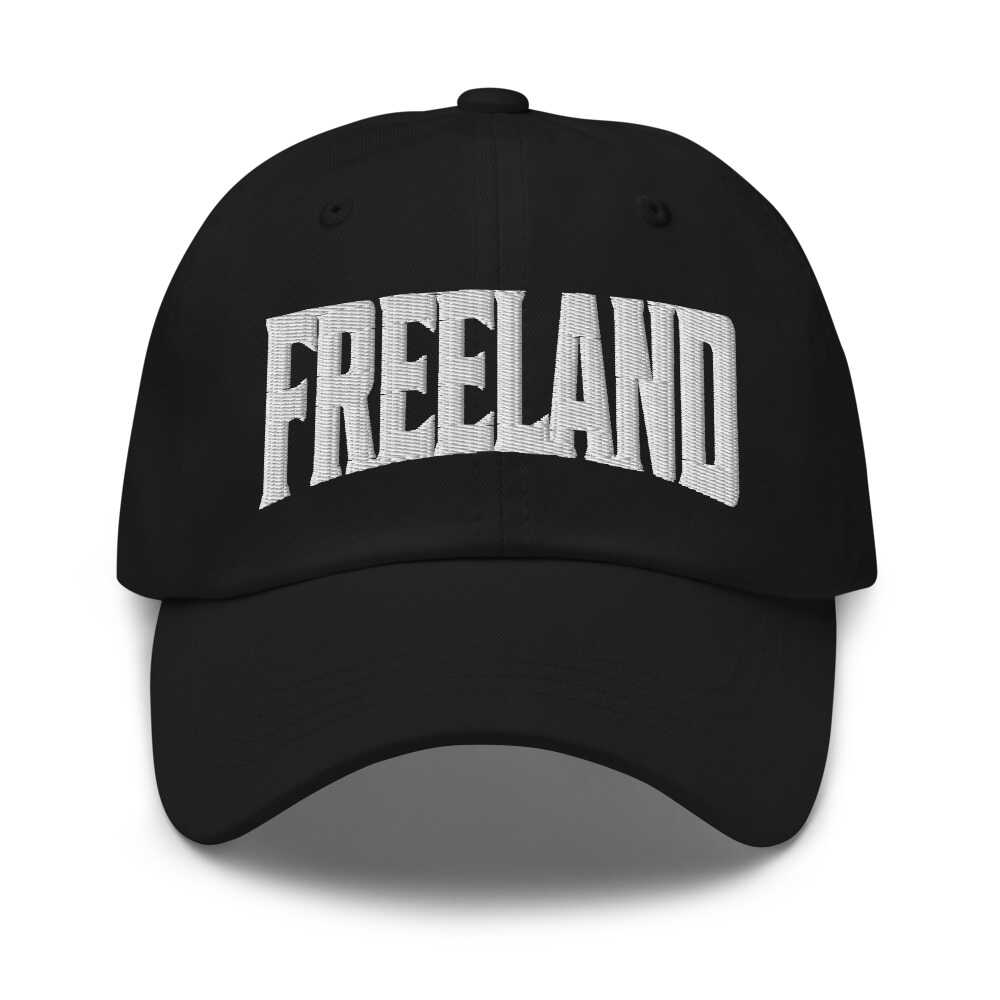 Freeland Michigan MI Embroidered Dad Hat