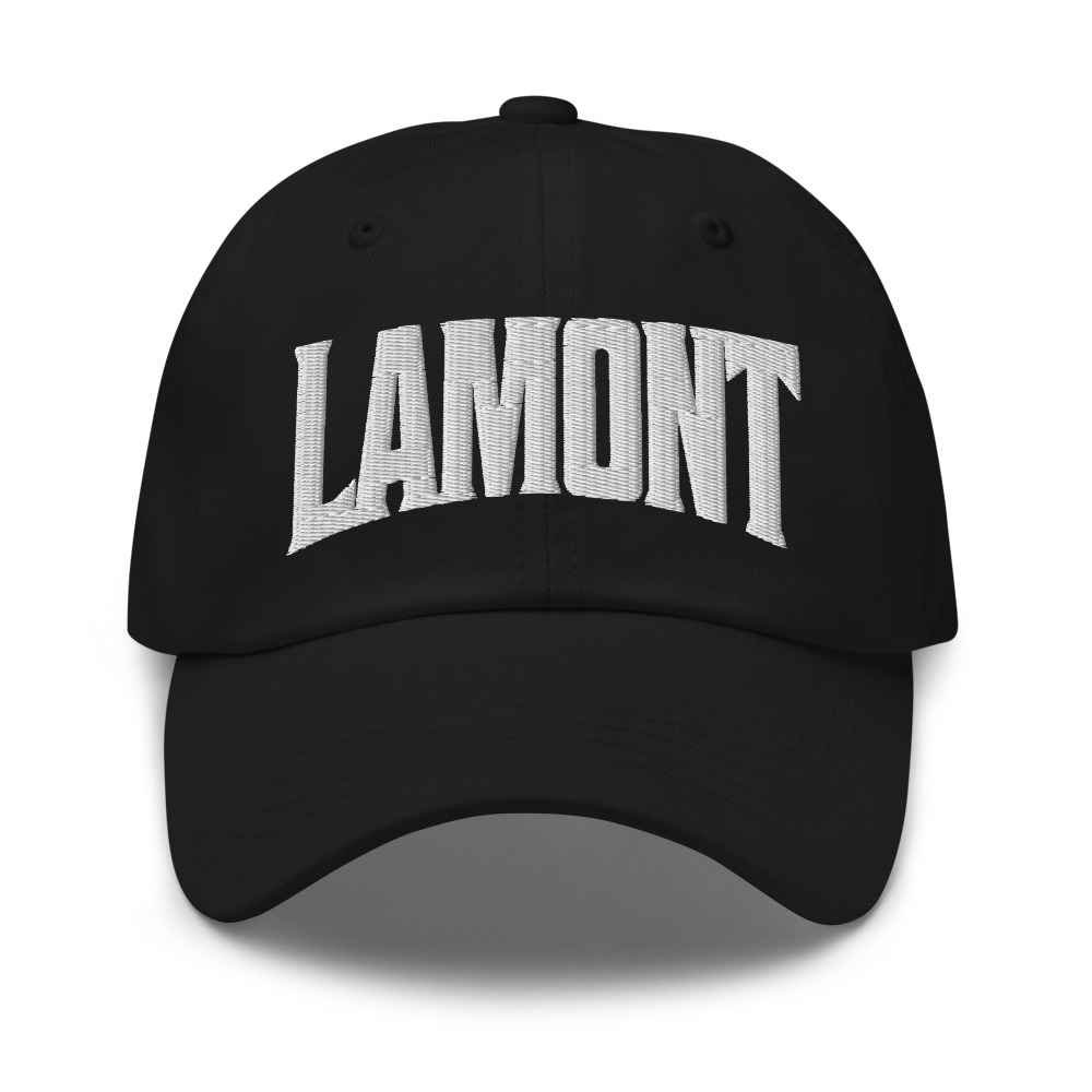 Lamont Michigan MI Embroidered Dad Hat