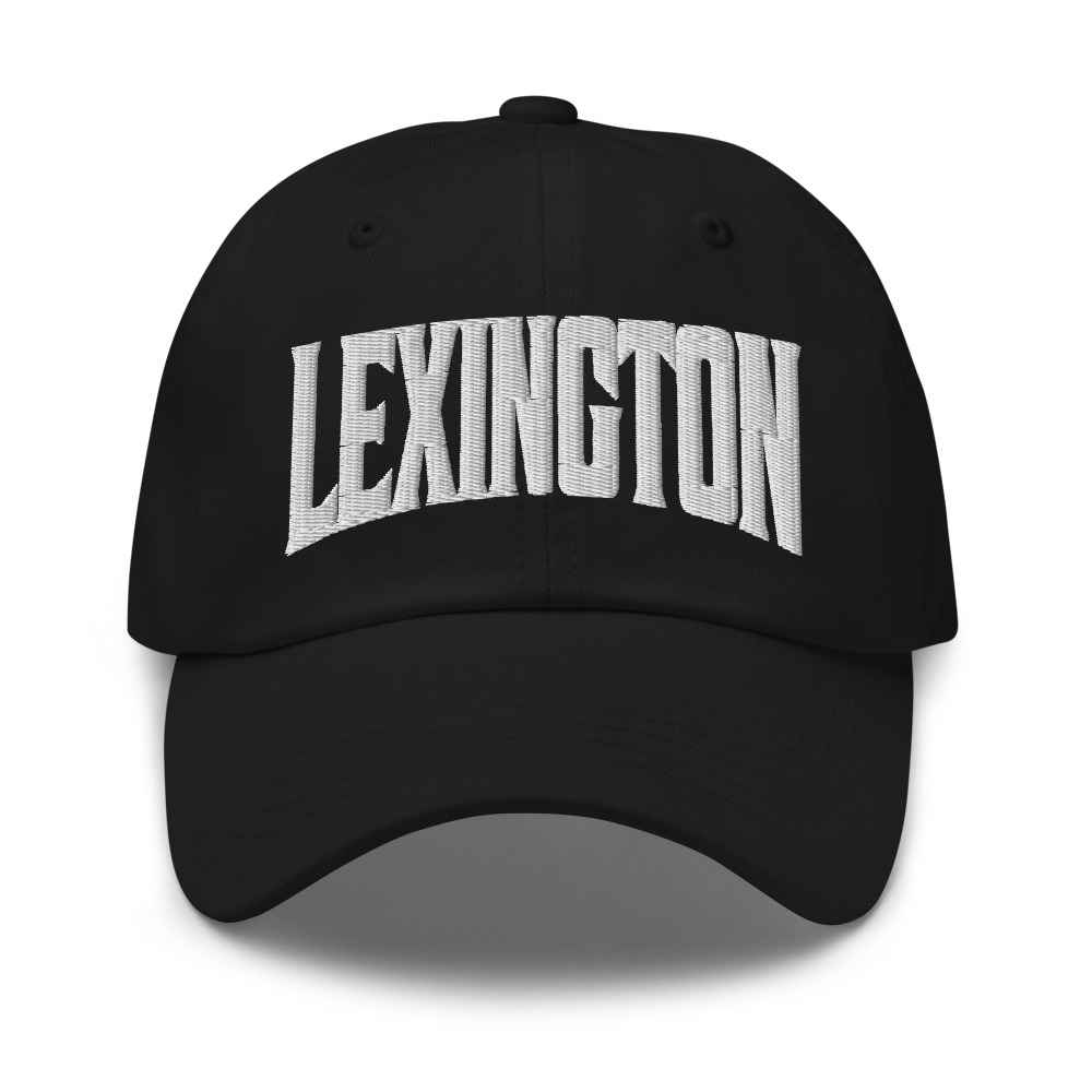 Lexington Michigan MI Embroidered Dad Hat
