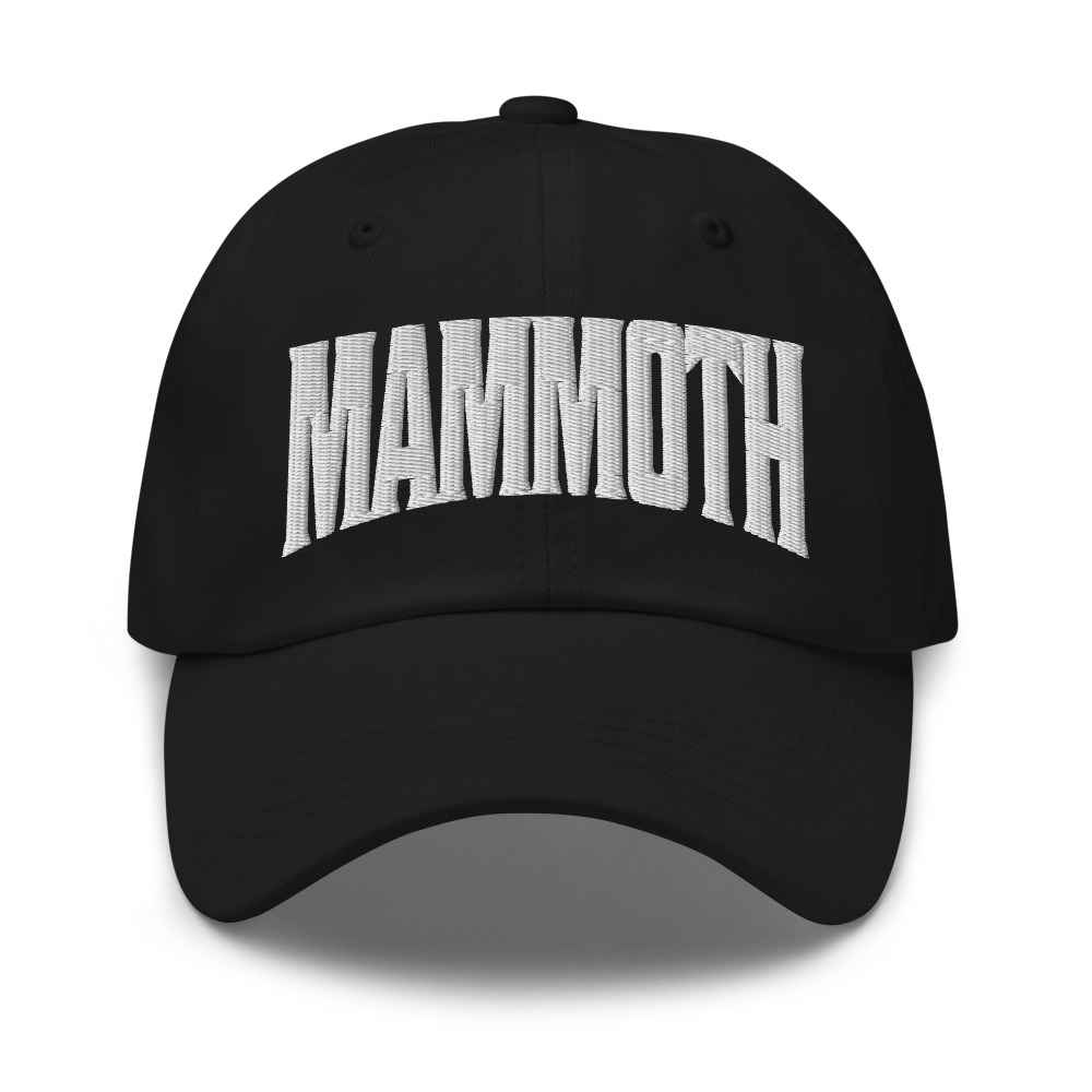 Mammoth Arizona AZ Embroidered Dad Hat