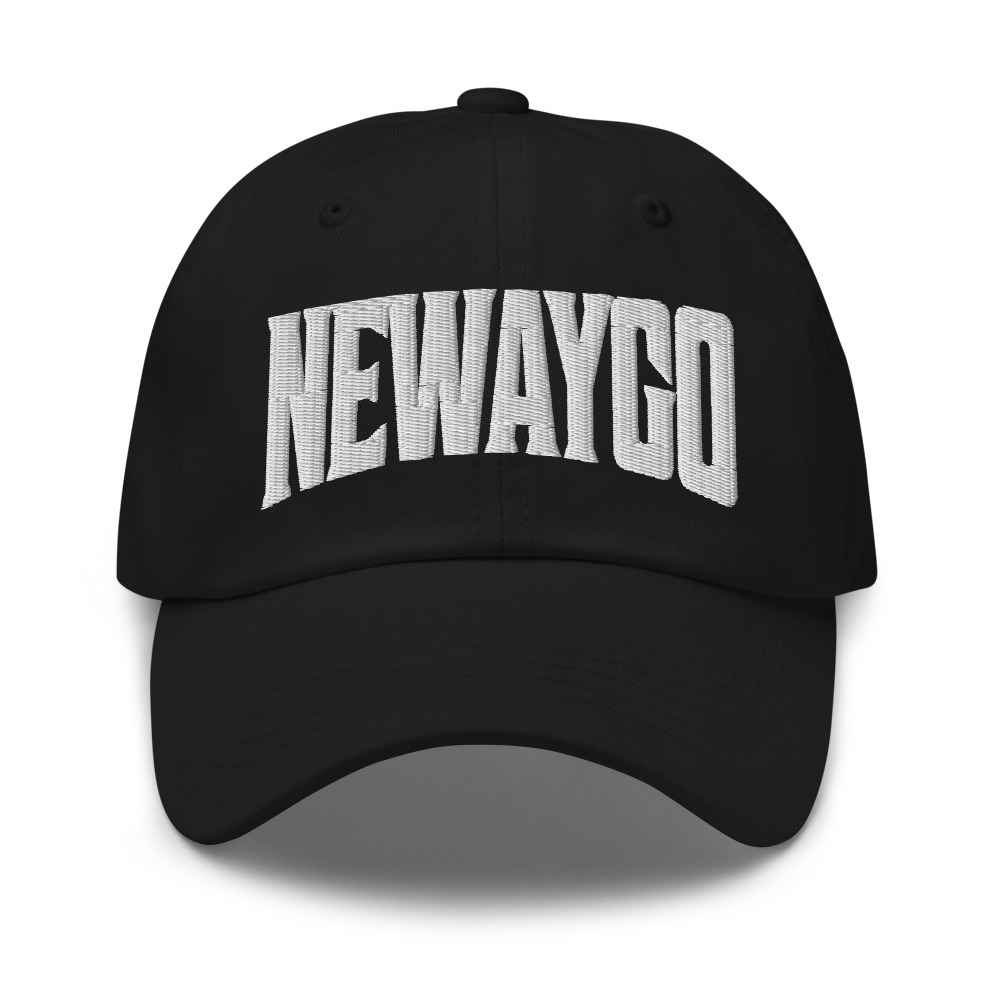 Newaygo Michigan MI Embroidered Dad Hat