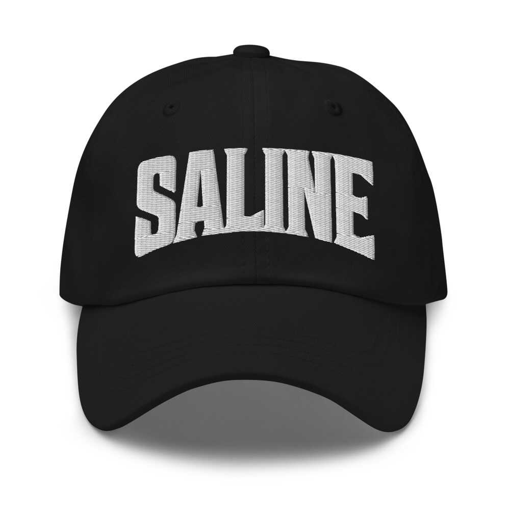 Saline Michigan MI Embroidered Dad Hat
