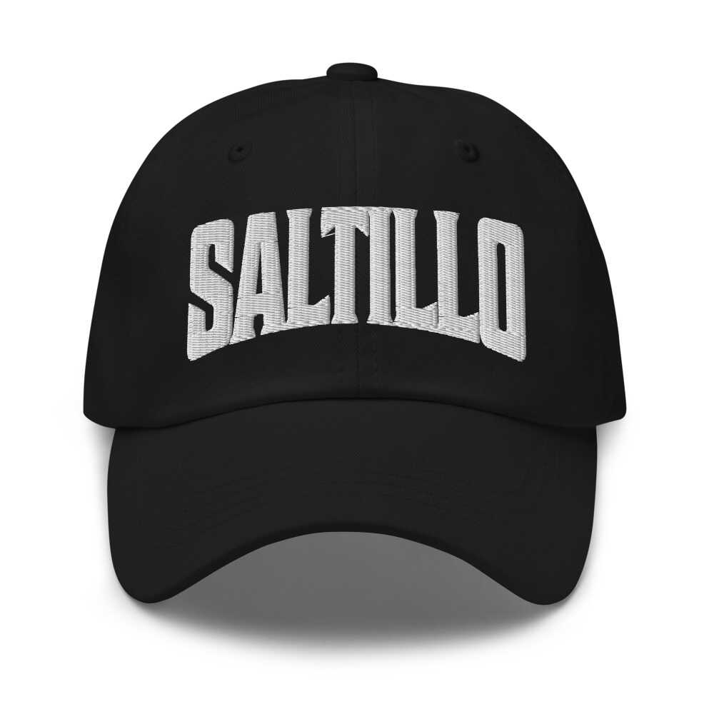 Saltillo Mississippi MS Embroidered Dad Hat