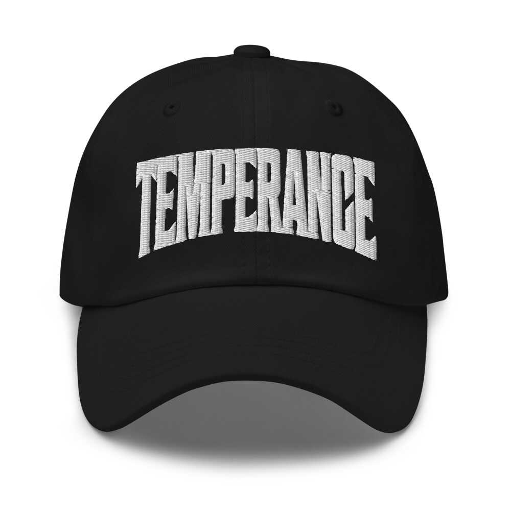 Temperance Michigan MI Embroidered Dad Hat