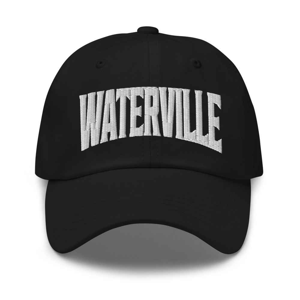 Waterville Minnesota MN Embroidered Dad Hat