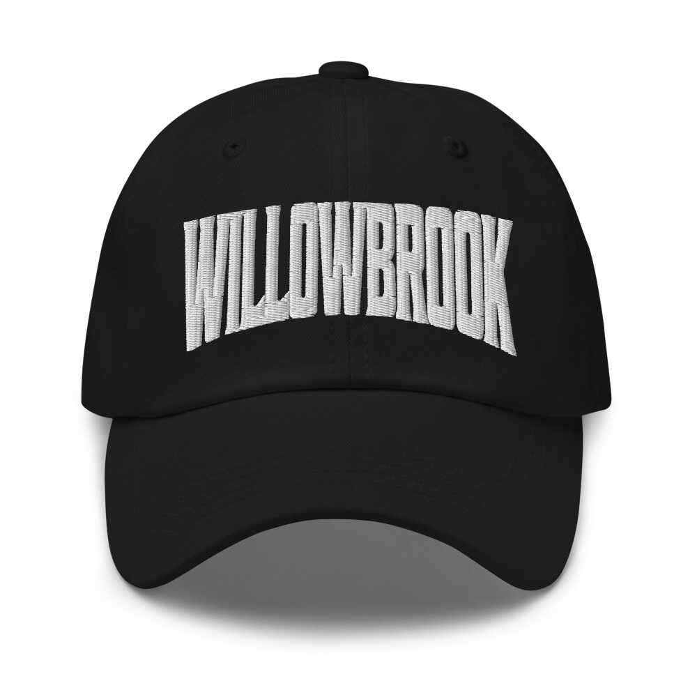 Willowbrook Illinois IL Embroidered Dad Hat